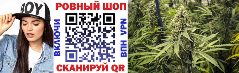 Купить закладку БУТИРАТ  Псилоцибиновые грибы  Конопля  Мефедрон  КОКАИН  Кяхта