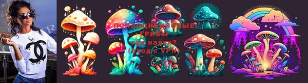 мяу мяу мука Вяземский