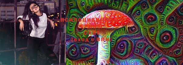 PSILOCYBIN Вязьма