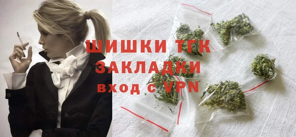 молекула духа Гусиноозёрск