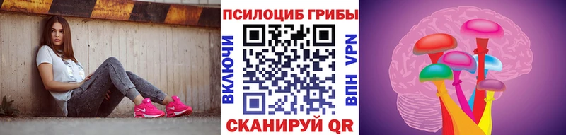 Галлюциногенные грибы Psilocybe Купить где Кяхта